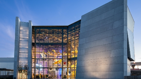 The National World War II Museum