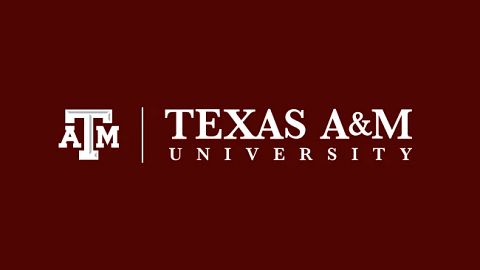 Texas A&M