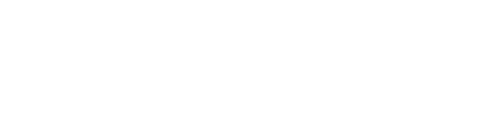 Caméra Vitotek prise en charge par Stratocast.