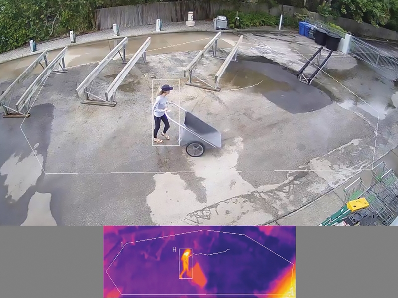 Flir sales saros dome