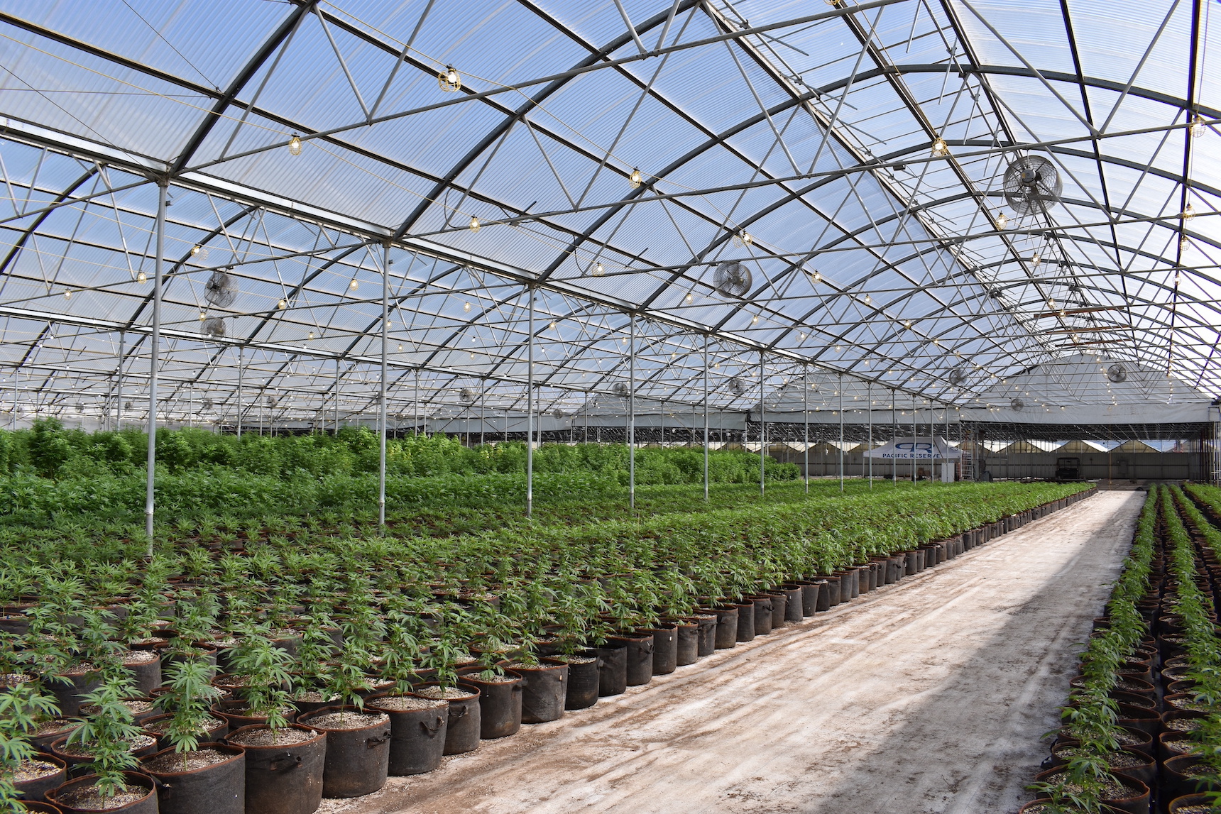 Système de sécurité physique pour installation de cannabis